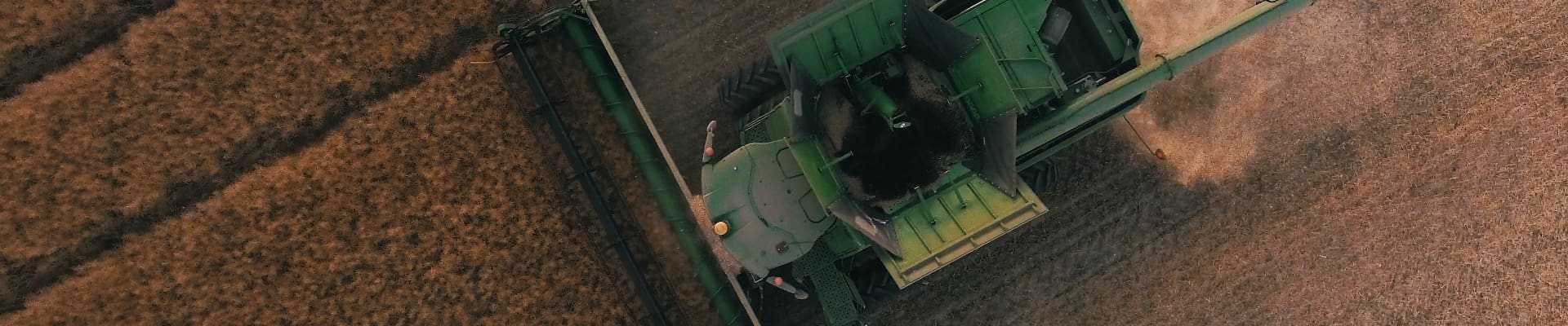 paraquat linked to parkinson's disease