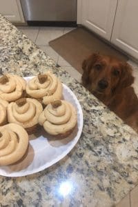 Pumpkin Dog Treats