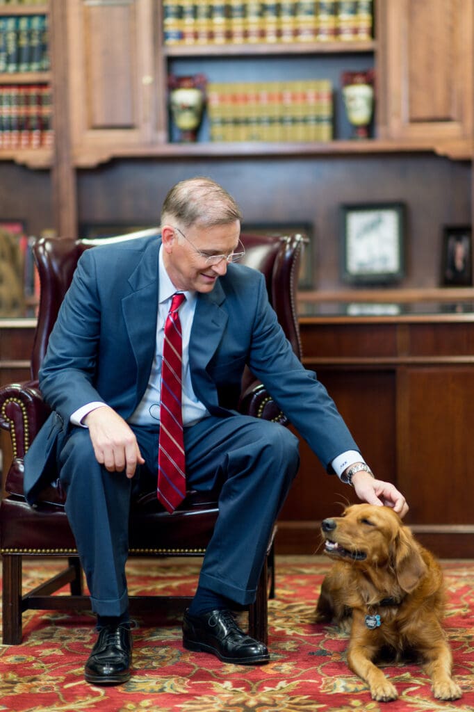 golden retriever dog getting its head scratched