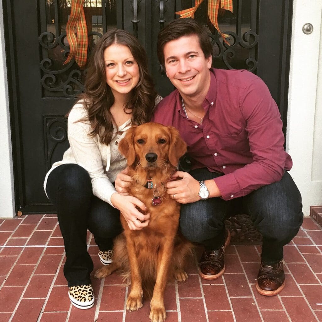 golden retriever dog in Arkansas