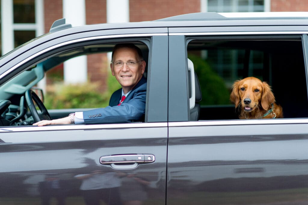 Golden retriever riding in the backseat of car